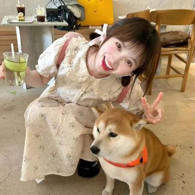 寂灭之境第一季